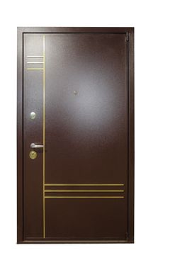 Дверь Неман Н-102 с металлической отделкой 105